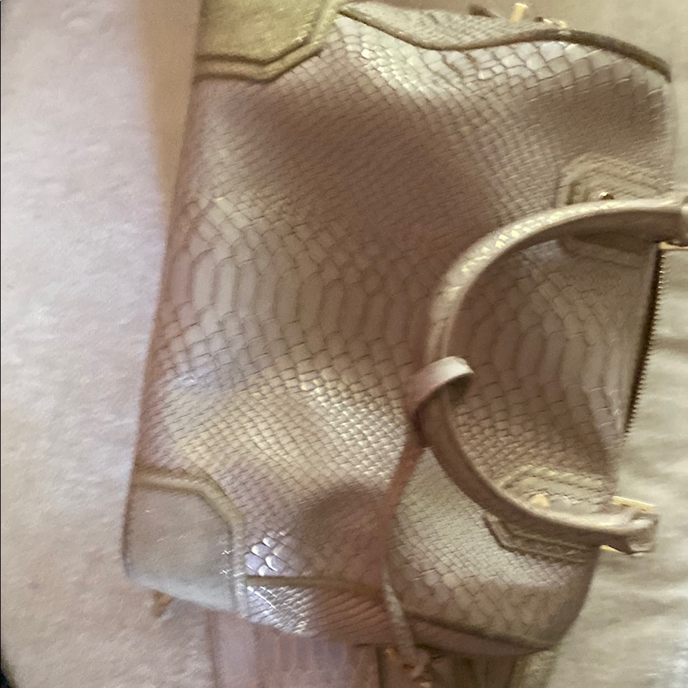 Alice & Olivia Elegant Snake-Embossed Handbag chain strap, coin bag & dust bag - Picture 13 of 15